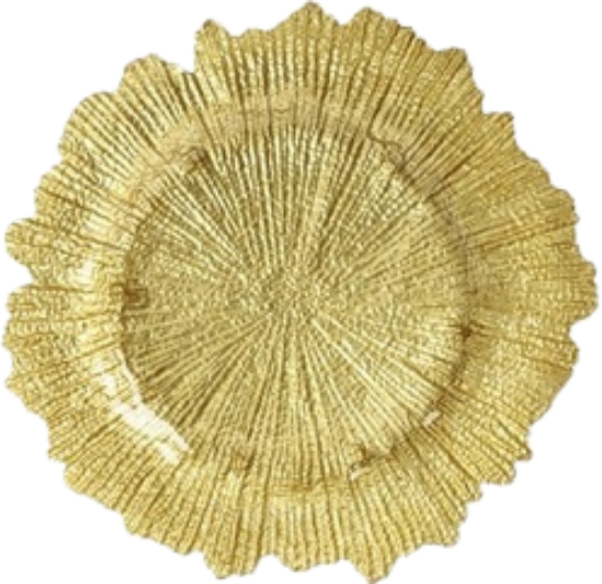 Gold reef charger plate for event table settings — Margate FL rental